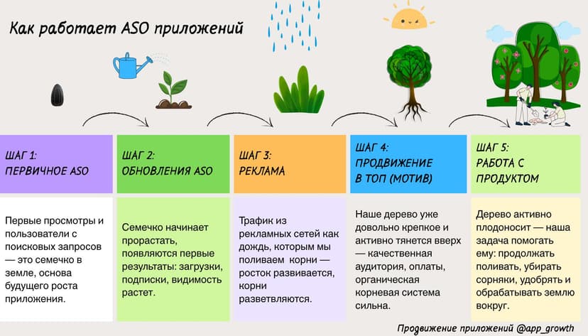 Как работает ASO приложений: этапы роста от семечка до плодоносного дерева