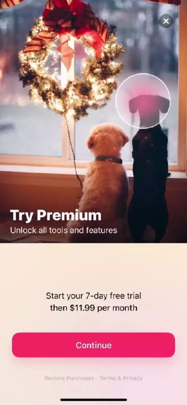 Фотография поста